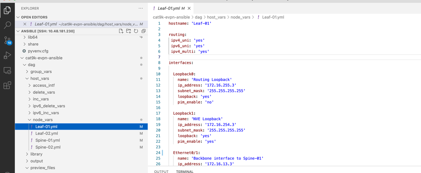 _images/task02_host_vars.png